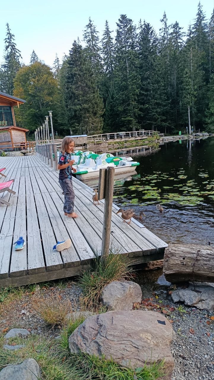 Kind auf dem Steg am Großen Arbersee mit grünen Tretbooten im Hintergrund