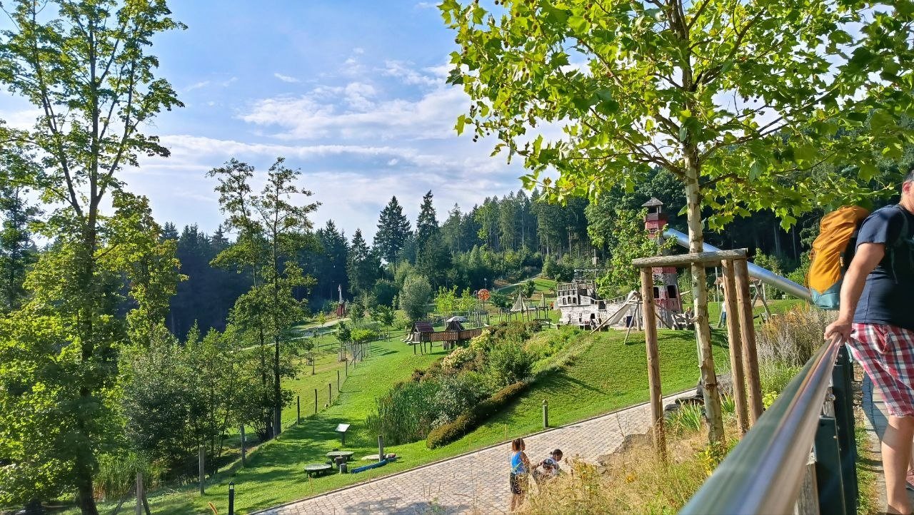 Blick über die grüne Landschaft des Bayerischen Waldes vom Edelwies Erlebnispark